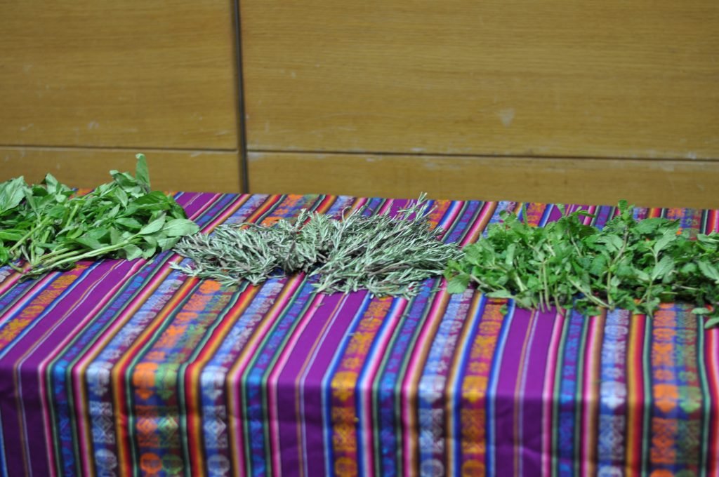 Curators for Educators: Health + Wellbeing are Human Rights 1 A variety of herbs are laid out over a colorfully patterned table cloth.